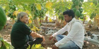 The Concept of a Global Parli