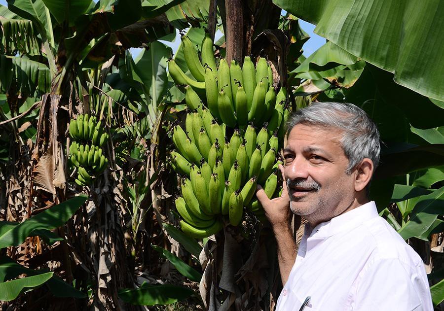 Rural Development Trust – Vision